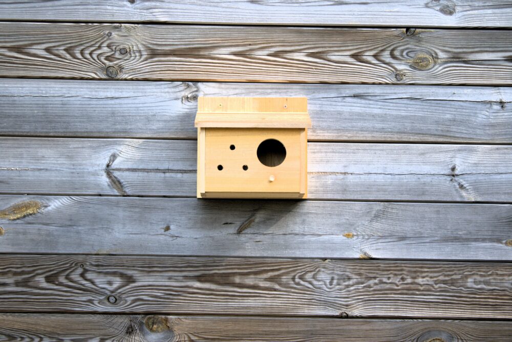 Nichoir en bois 24x15x22 cm